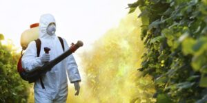 Chemical Pest Control