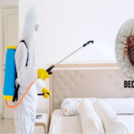 The Importance of Professional Bed Bug Control: What You Need to Know