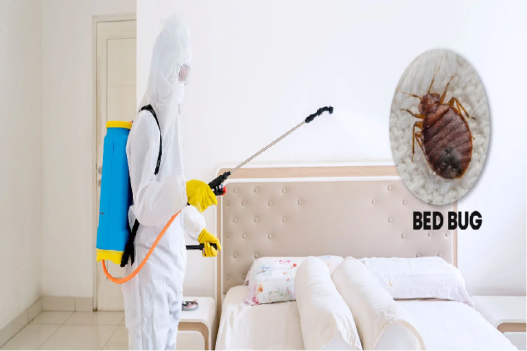 The Importance of Professional Bed Bug Control: What You Need to Know