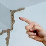 The Importance of Timely Termite Treatment: Protecting Your Home from Structural Damage