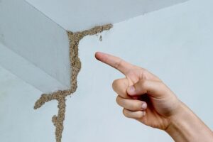 The Importance of Timely Termite Treatment: Protecting Your Home from Structural Damage