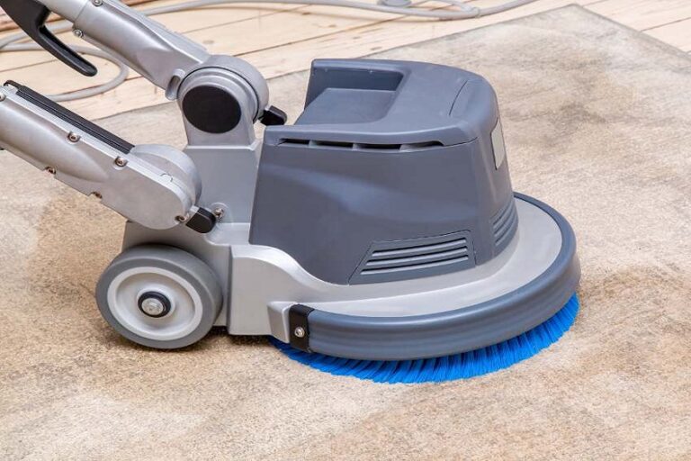 How Lancaster Carpet Cleaning Professionals Treat Carpets and Furniture for Long-Lasting Pet Odor Relief